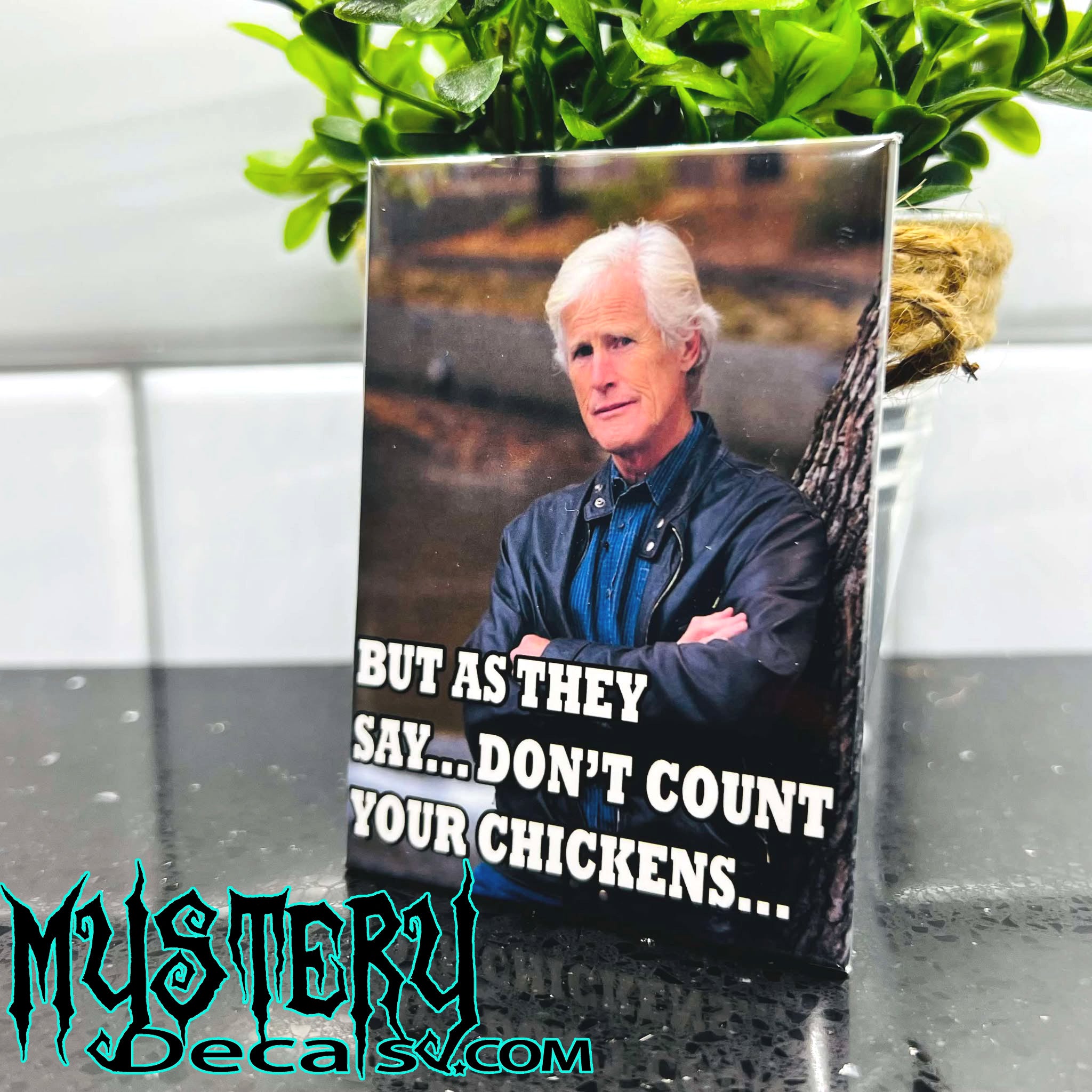 Keith Morrison Rectangle Fridge Magnet 2.5" x 3.5" But as they say... Don't count your Chickens