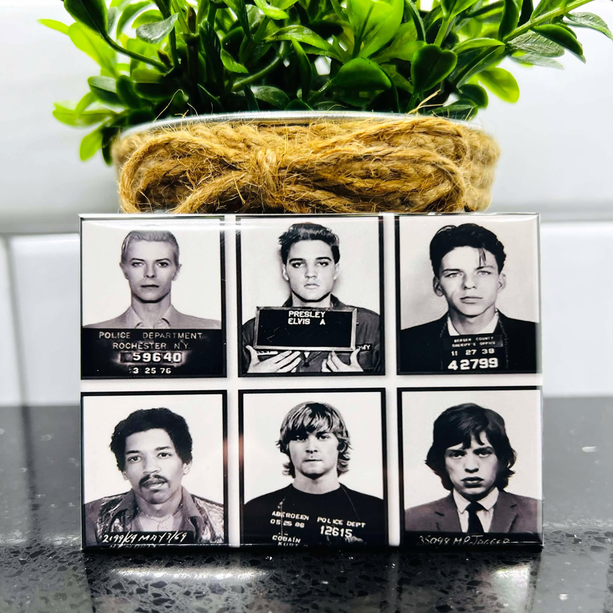 Rock Icons Mugshot Rectangle Fridge Magnet 2.5" x 3.5"