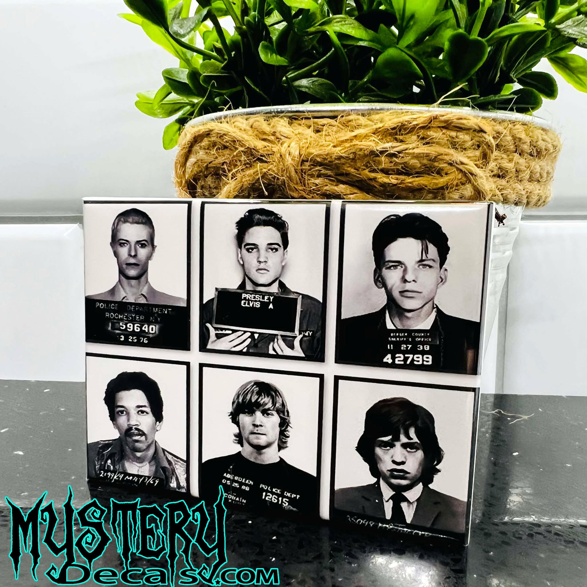 Rock Icons Mugshot Rectangle Fridge Magnet 2.5" x 3.5"