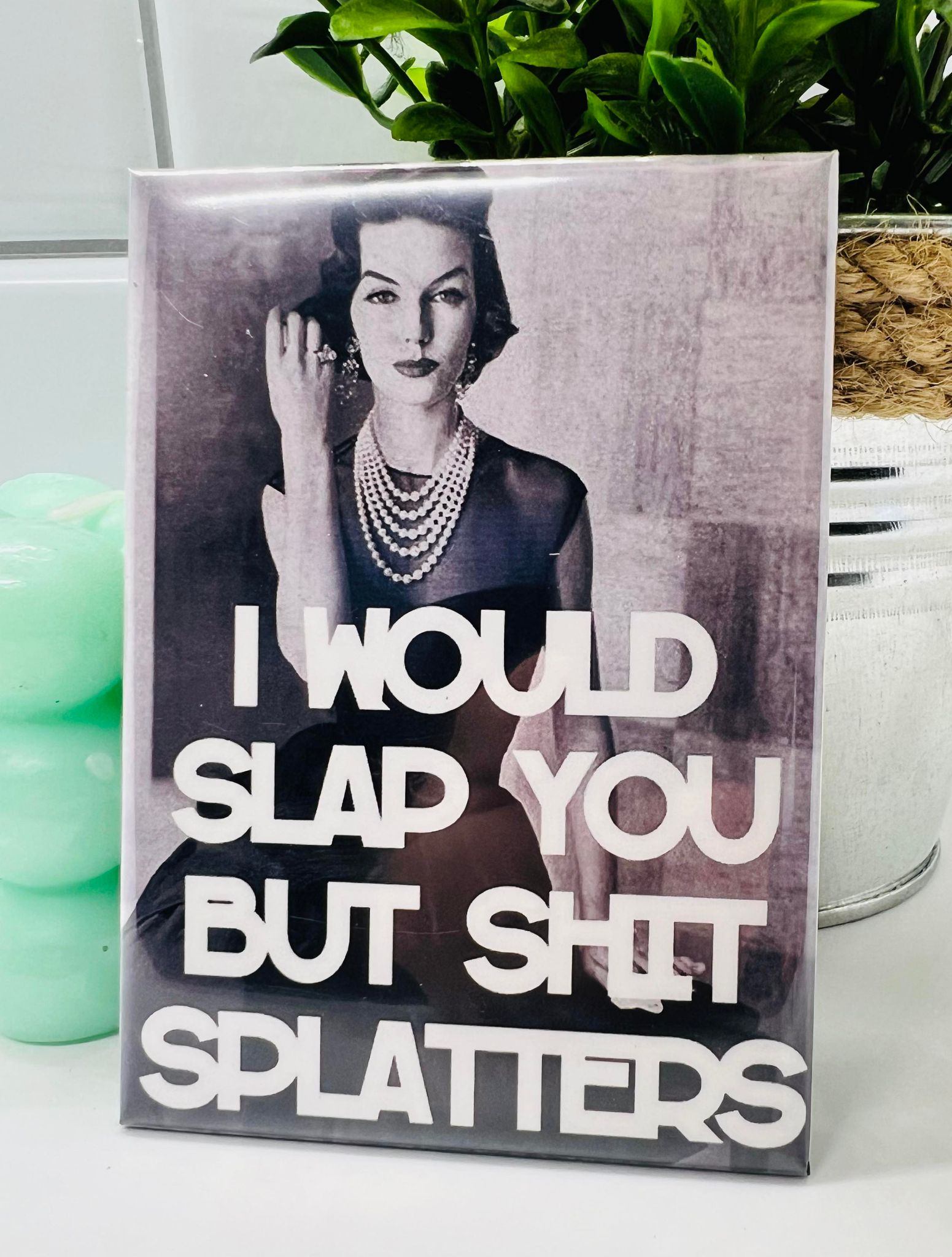 I Would Slap you but Shit Splatters Rectangle Fridge Magnet 2.5" x 3.5"