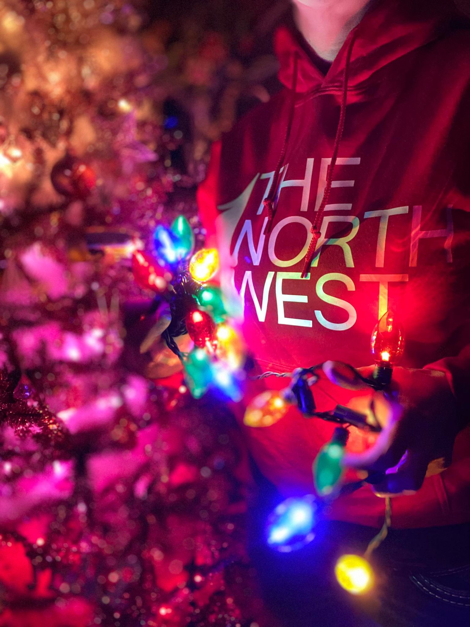 The North West Half Tree Hoodie in Red